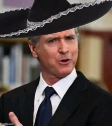 Greasy Gavin Sombrero head Meme Template