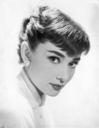 Please Type "Rabbi Rothschild" In YouTube & Filter By "Live" Meme Template