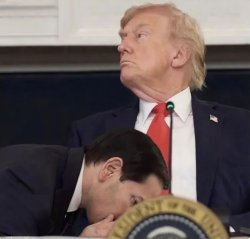 Marco Rubio reassuring Donald Trump Meme Template