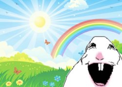 Happy hamster meme Meme Template