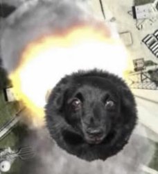 Missile Dog Meme Template