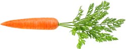 CARROT Meme Template