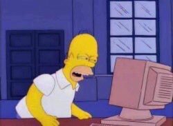 Homer squinting at computer Meme Template