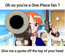nami got a gun Meme Template