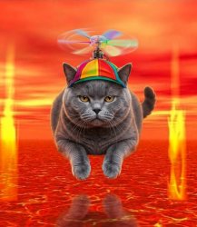 sigma cat over skibidi sea Meme Template
