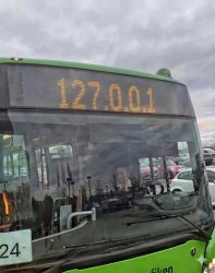 loop-back bus Meme Template