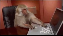 Monkey computer Meme Template