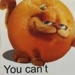 Orange Garfield Meme Template