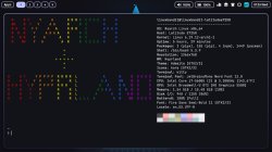 bandits custom ascii for the fetch on his nyarch hyprland setup Meme Template