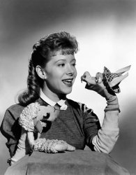 Please Type "Rabbi Rothschild" In YouTube & Filter By "Live" Meme Template