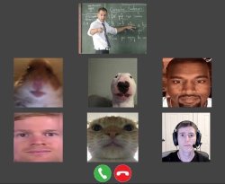 Video Conference Meme Template