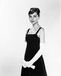 Please Type "Rabbi Rothschild" In YouTube & Filter By "Live" Meme Template