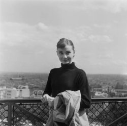 Please Type "Rabbi Rothschild" In YouTube & Filter By "Live" Meme Template