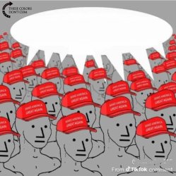 Maga crowd Meme Template
