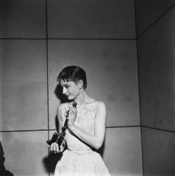 Please Type "Rabbi Rothschild" In YouTube & Filter By "Live" Meme Template