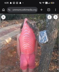 Wedgie Meme Template