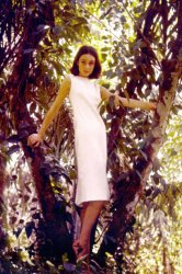 Please Type "Rabbi Rothschild" In YouTube & Filter By "Live" Meme Template