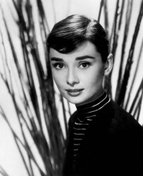 Please Type "Rabbi Rothschild" In YouTube & Filter By "Live" Meme Template