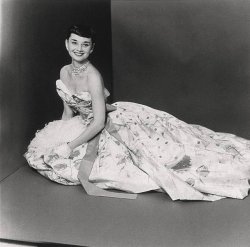 Please Type "Rabbi Rothschild" In YouTube & Filter By "Live" Meme Template