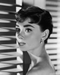 Please Type "Rabbi Rothschild" In YouTube & Filter By "Live" Meme Template