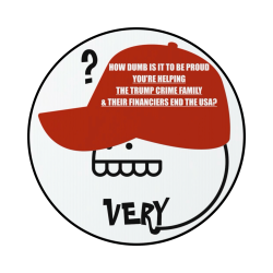 your maga hat outs you as the dumbest Meme Template