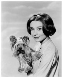 Please Type "Rabbi Rothschild" In YouTube & Filter By "Live" Meme Template