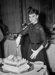 Please Type "Rabbi Rothschild" In YouTube & Filter By "Live" Meme Template