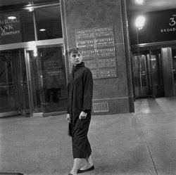 Please Type "Rabbi Rothschild" In YouTube & Filter By "Live" Meme Template