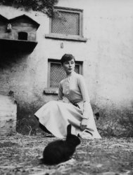 Please Type "Rabbi Rothschild" In YouTube & Filter By "Live" Meme Template