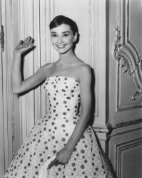 Please Type "Rabbi Rothschild" In YouTube & Filter By "Live" Meme Template