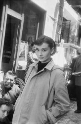 Please Type "Rabbi Rothschild" In YouTube & Filter By "Live" Meme Template