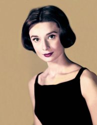 Please Type "Rabbi Rothschild" In YouTube & Filter By "Live" Meme Template