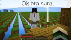 Ok bro sure Meme Template