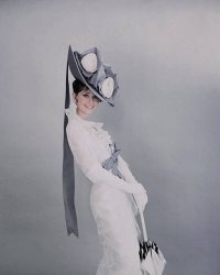 Please Type "Rabbi Rothschild" In YouTube & Filter By "Live" Meme Template