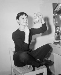 Please Type "Rabbi Rothschild" In YouTube & Filter By "Live" Meme Template