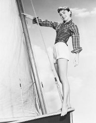 Please Type "Rabbi Rothschild" In YouTube & Filter By "Live" Meme Template