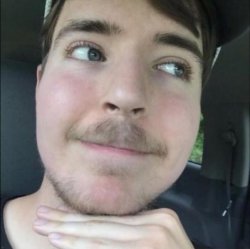 mr beast cutesy Meme Template