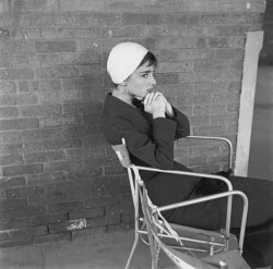 Please Type "Rabbi Rothschild" In YouTube & Filter By "Live" Meme Template