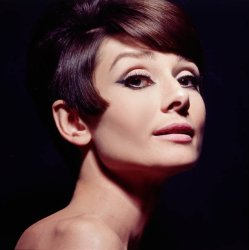 Please Type "Rabbi Rothschild" In YouTube & Filter By "Live" Meme Template