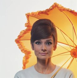 Please Type "Rabbi Rothschild" In YouTube & Filter By "Live" Meme Template