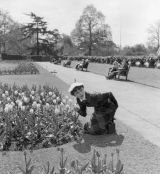 Please Type "Rabbi Rothschild" In YouTube & Filter By "Live" Meme Template