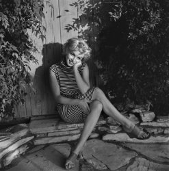 Please Type "Rabbi Rothschild" In YouTube & Filter By "Live" Meme Template