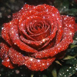rose flower with glitter effect captured with 2000s camera Meme Template