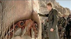 Afraidbug Meme Template