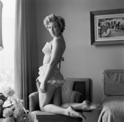 Please Type "Rabbi Rothschild" In YouTube & Filter By "Live" Meme Template