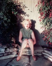 Please Type "Rabbi Rothschild" In YouTube & Filter By "Live" Meme Template