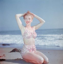 Please Type "Rabbi Rothschild" In YouTube & Filter By "Live" Meme Template