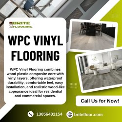 WPC Vinyl Flooring Meme Template