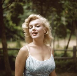 Please Type "Rabbi Rothschild" In YouTube & Filter By "Live" Meme Template