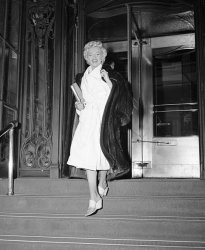 Please Type "Rabbi Rothschild" In YouTube & Filter By "Live" Meme Template